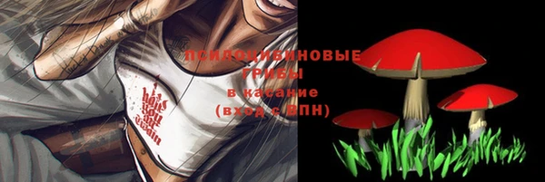 твердый Алексеевка