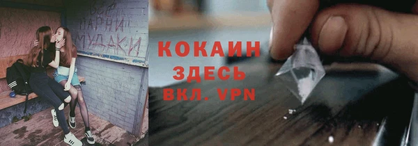 твердый Алексеевка
