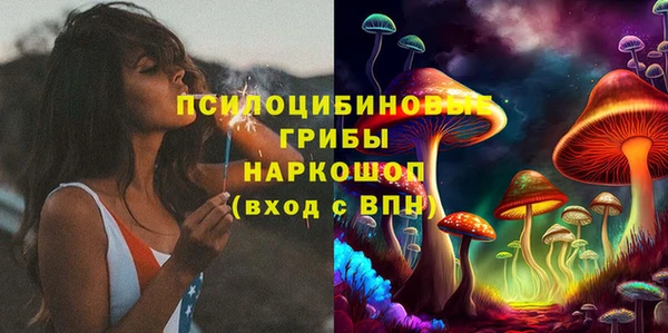 твердый Алексеевка