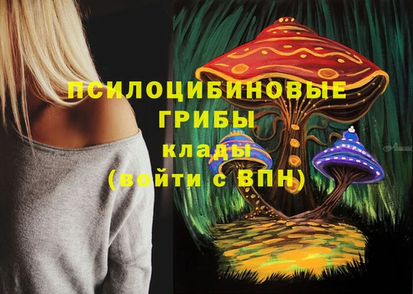 Альфа ПВП Алексин