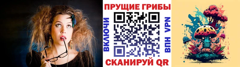 купить наркотик Иланский Псилоцибиновые грибы Cubensis